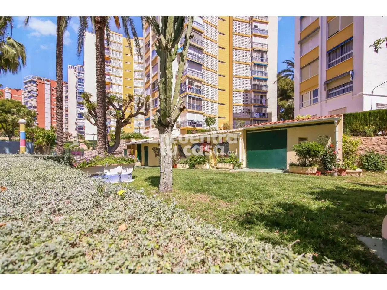 Vista exterior de Pis en venda en Benidorm amb Terrassa, Balcó i Piscina comunitària