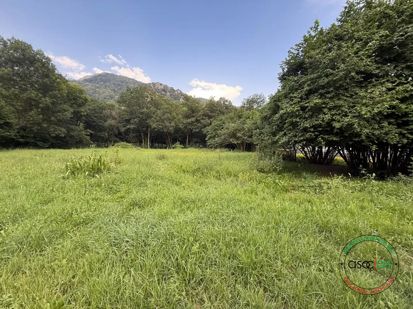Land for sale in Quirós