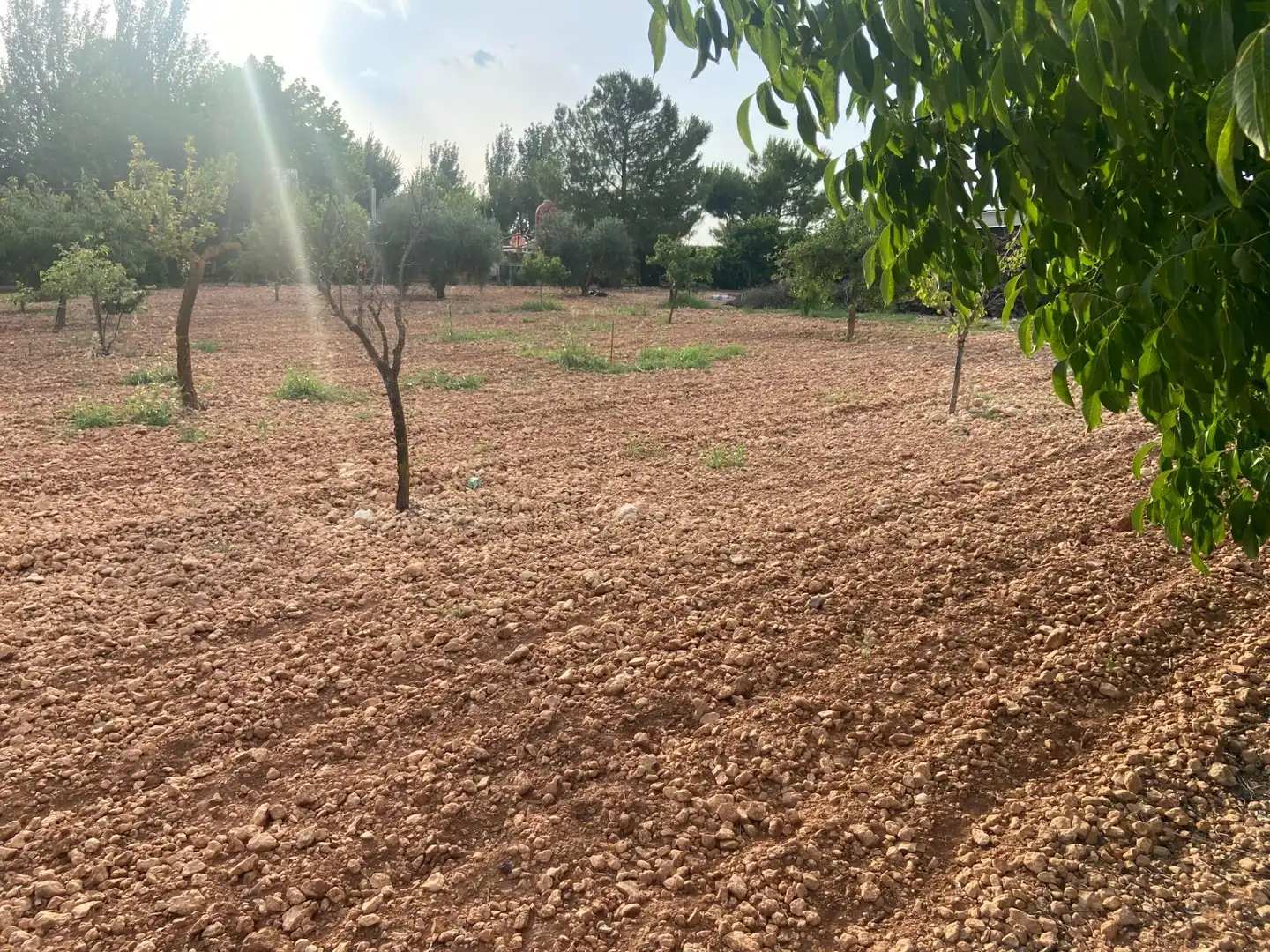 Casa o chalet en venta en Ciudad Real con Aire acondicionado, Calefacción y Jardín privado