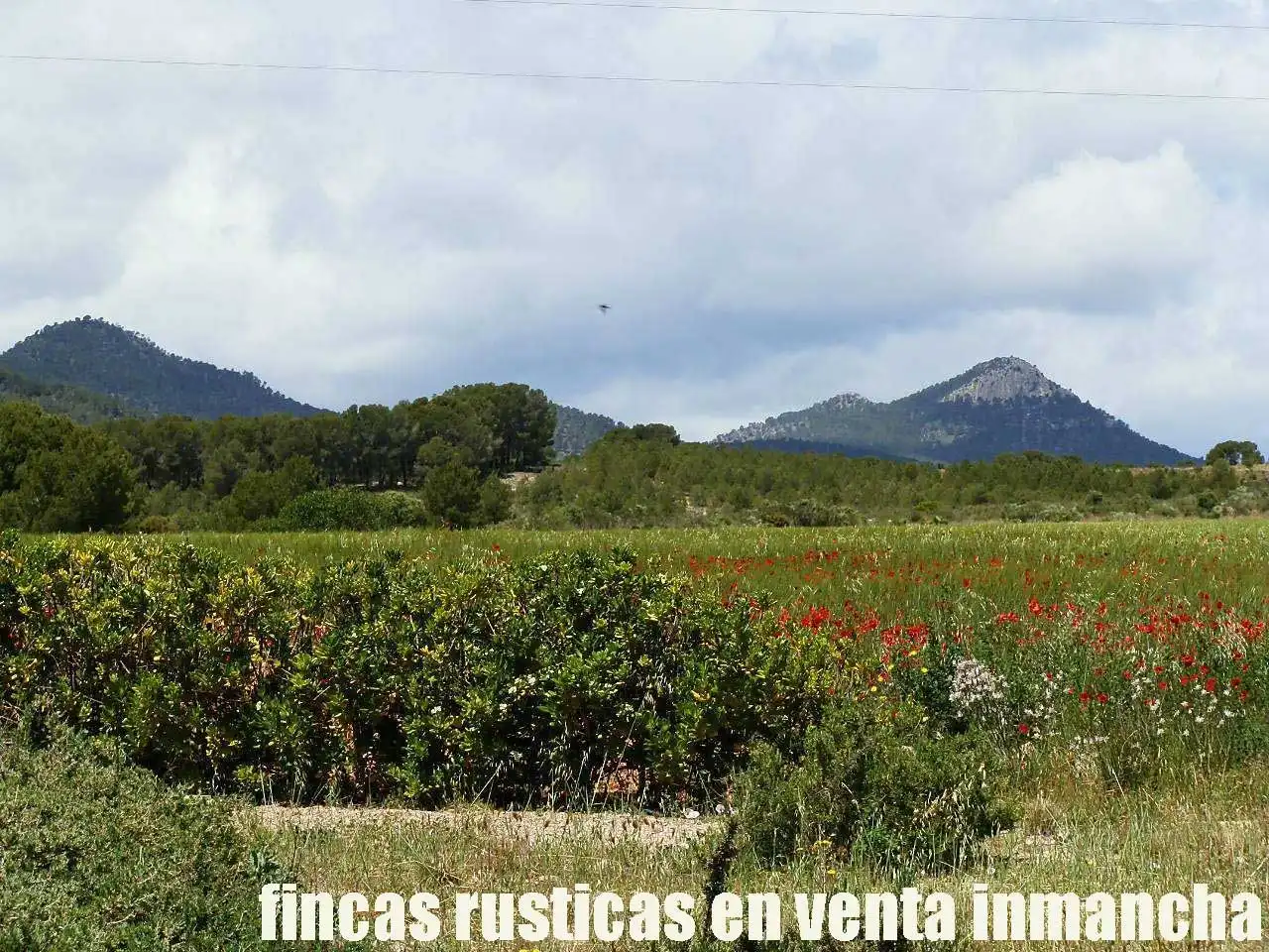 Terreni e lotti in vendita a Elche de la Sierra, imagen 16