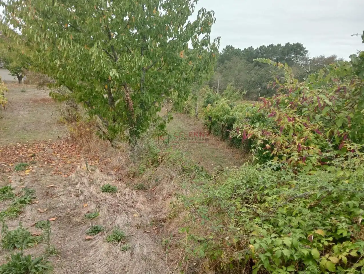Residencial en venda en San Cibrao das Viñas