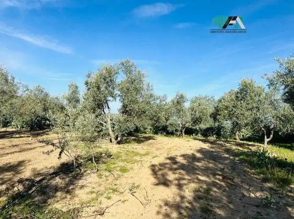 Terreni e lotti in vendita a Baeza, imagen 23