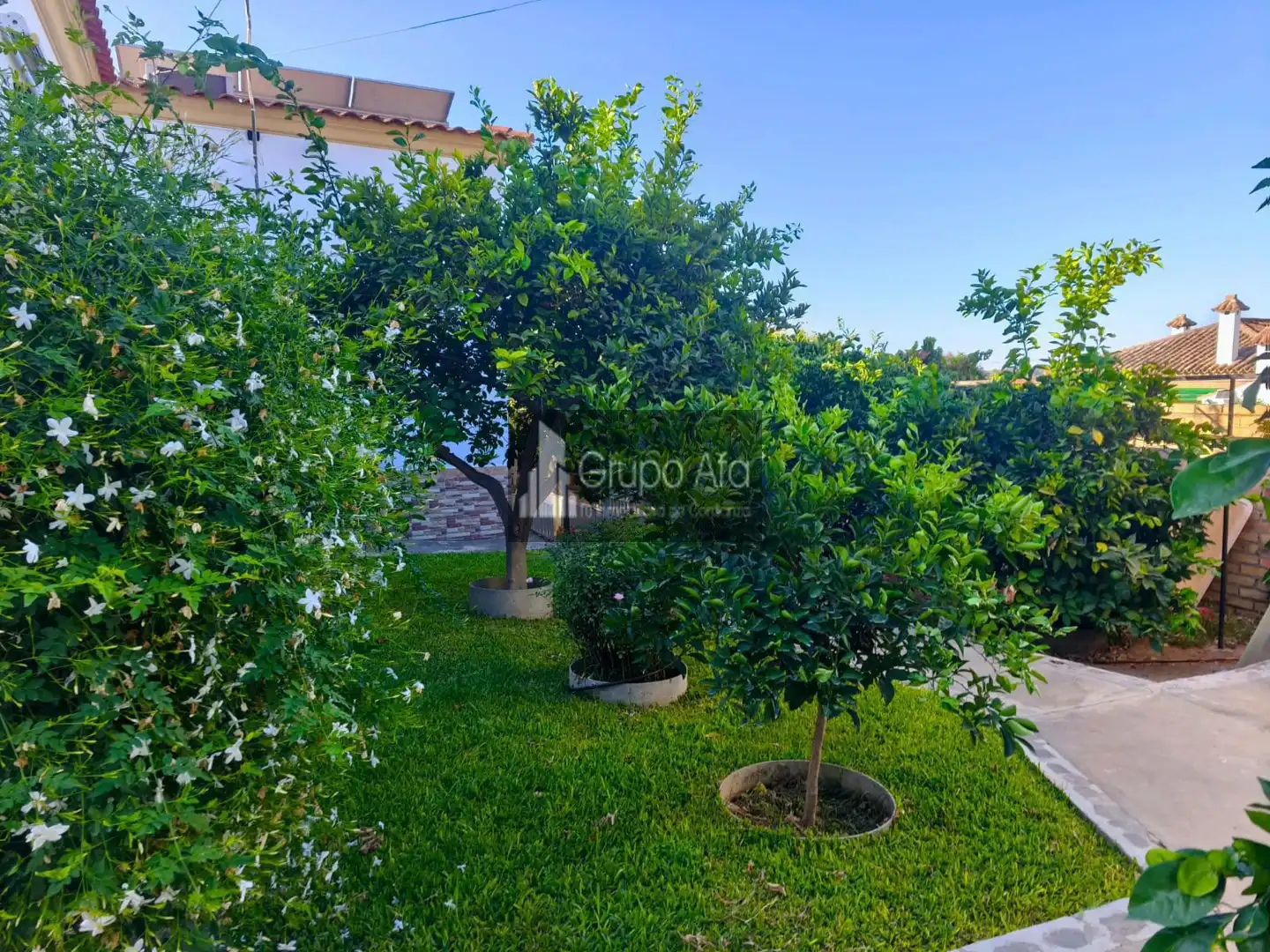 Casa o xalet en venda a Los Molinos