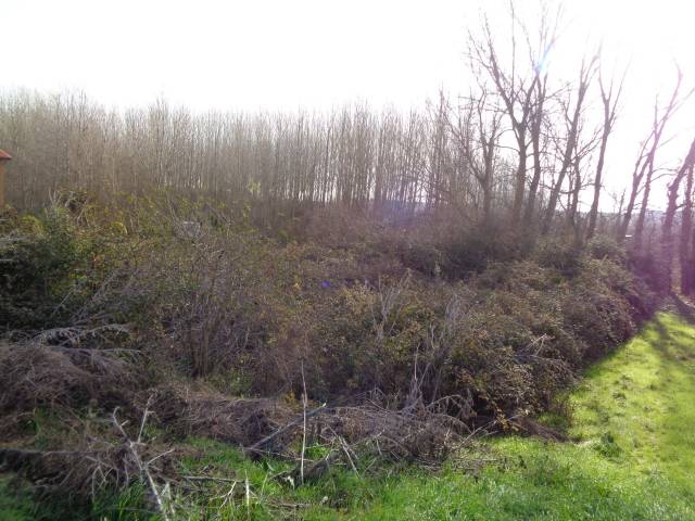 Terreno residencial en Venta en Anguciana