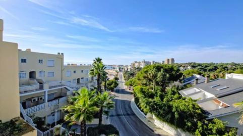 Photo 2 of Attic to rent in Aguamarina, Alicante