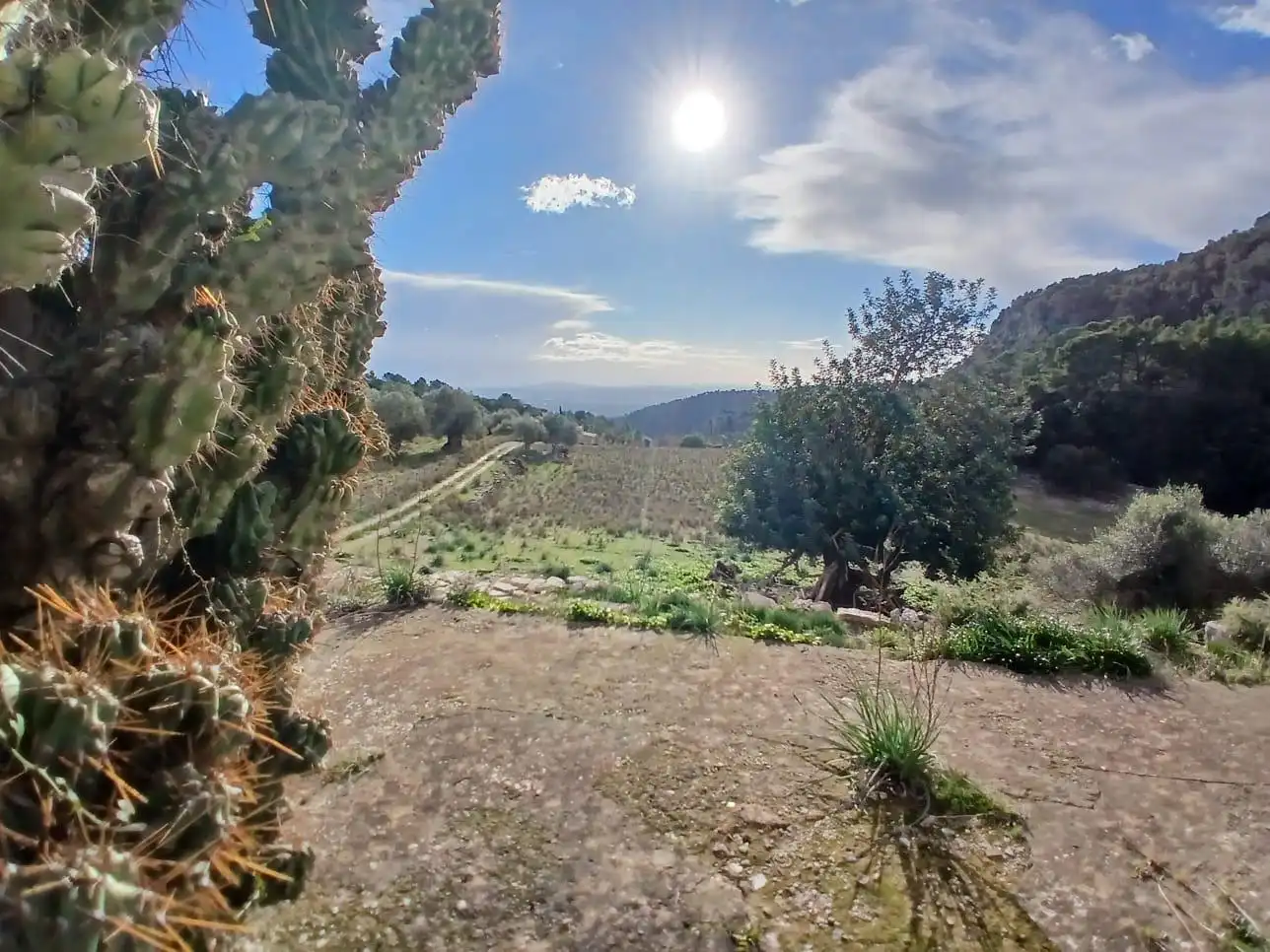 Finca rústica en venta en Mancor de la Vall