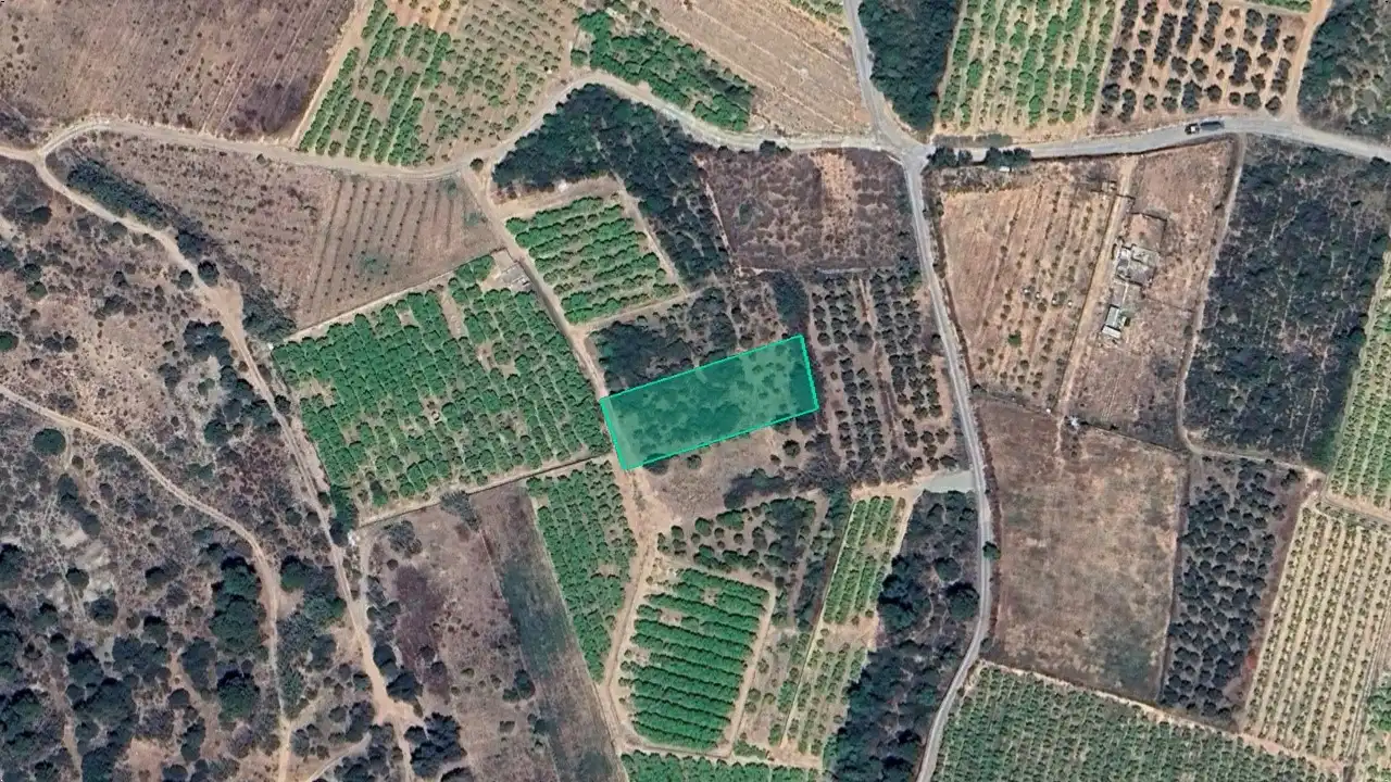 Terrain rustique à vendre à Partida Cárcel