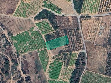 Terrain rustique à vendre à Partida Cárcel