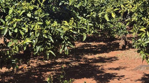 Foto 5 von Country house zum Verkauf in Del Forners, Madrigal, Vila-real