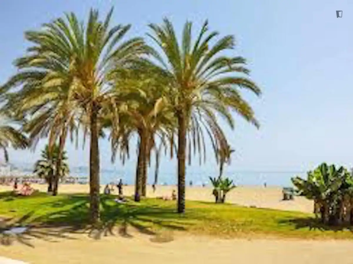 Vista exterior de Estudio de alquiler en Málaga con Aire acondicionado, Calefacción y Amueblado
