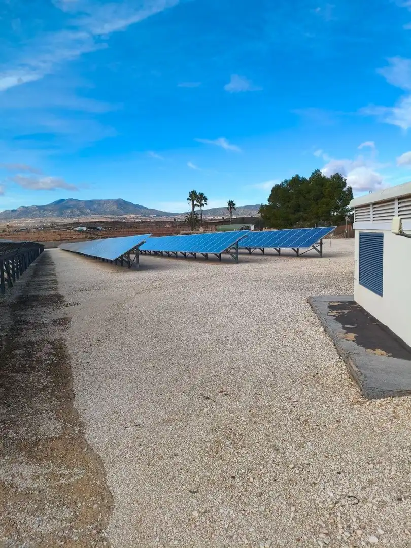Rural land for sale in Algorfa, imagen 14