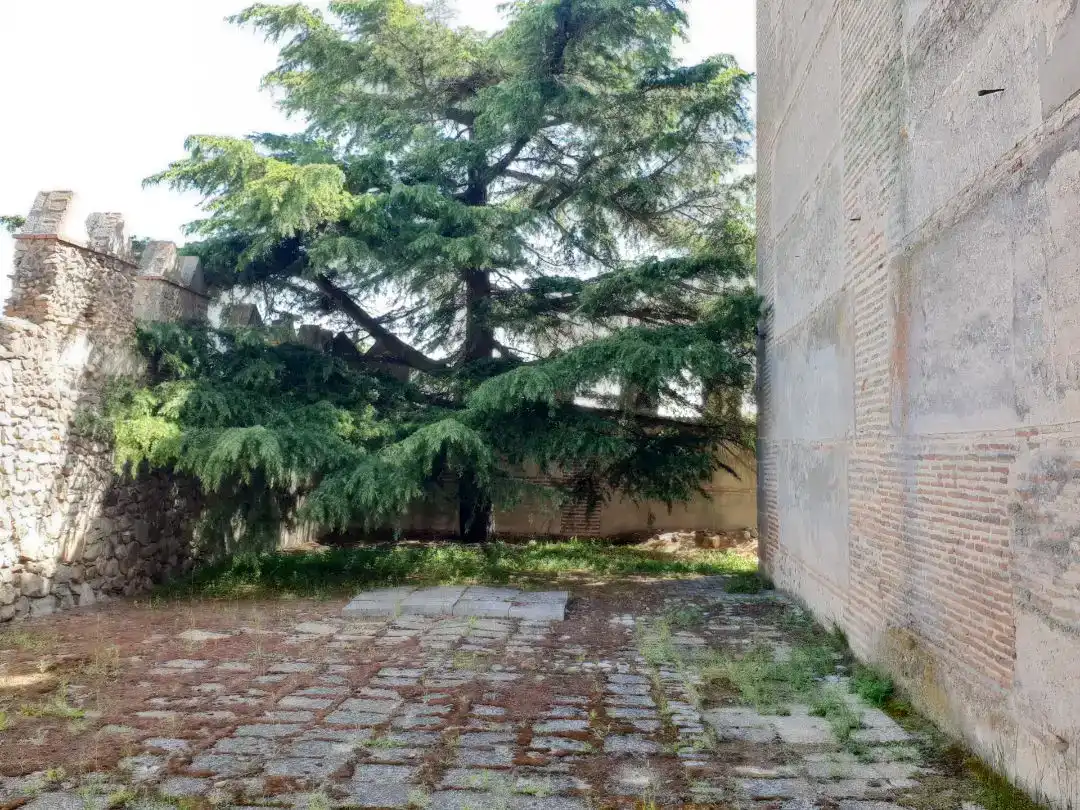 Garten von Wohnung zum Verkauf in Narros de Saldueña mit Möbliert