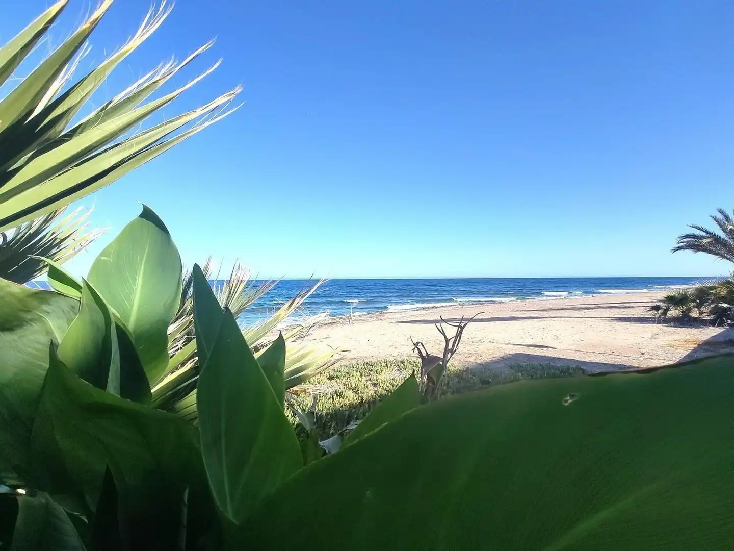 Exterior view of Flat for sale in Cuevas del Almanzora  with Terrace, Swimming Pool and Community pool