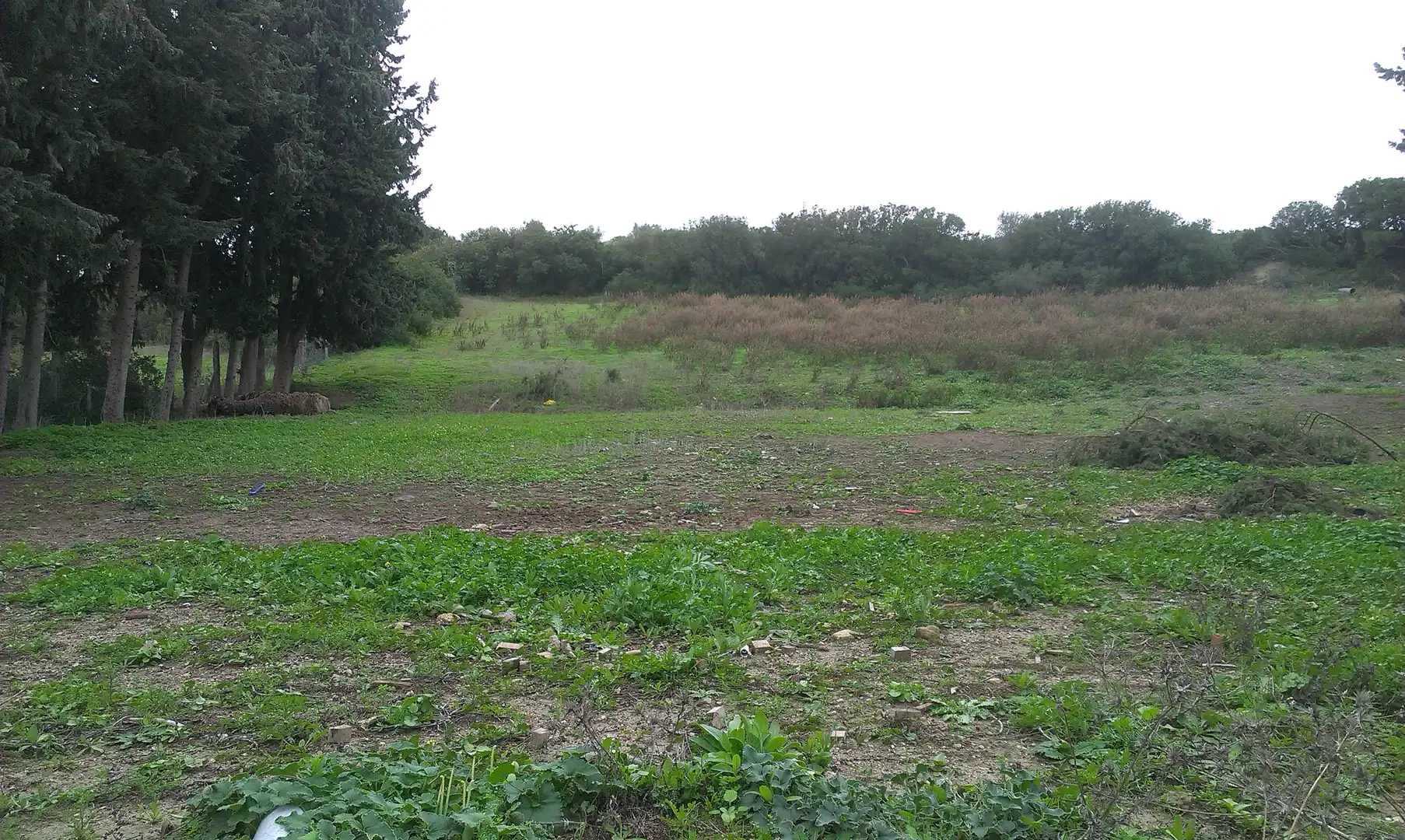 Terrain rustique à vendre à Vejer, imagen 2