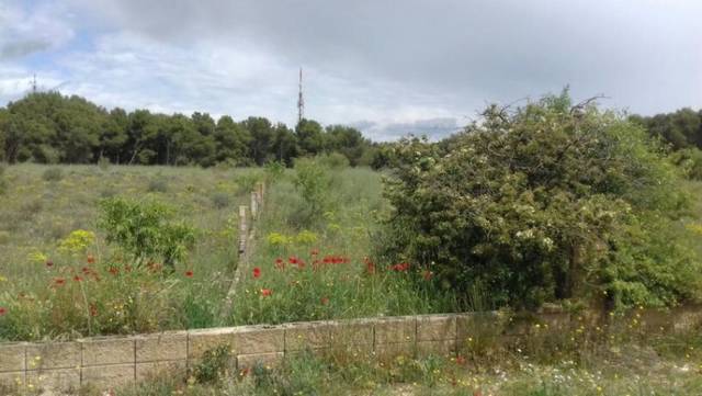 Terreno residencial en Venta en Pluto en La Cerdera