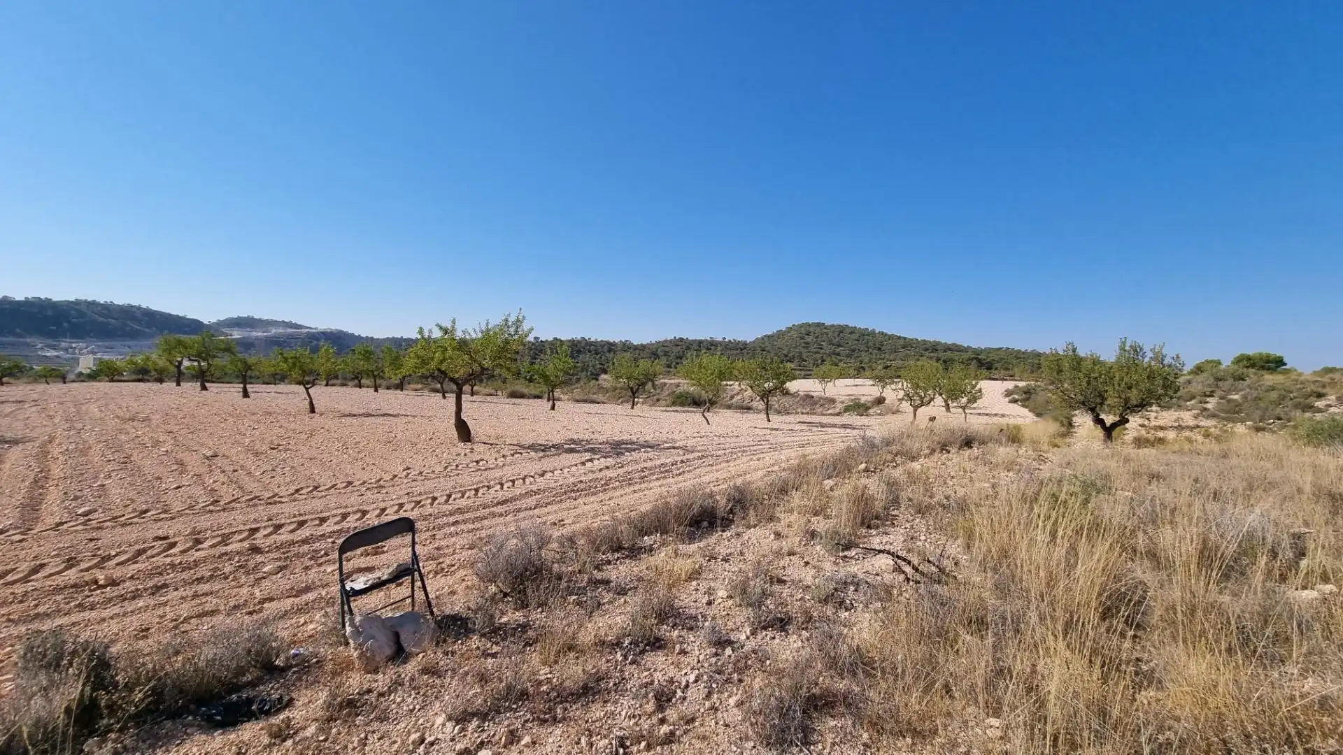 Lands and plots for sale in Abanilla, imagen 5