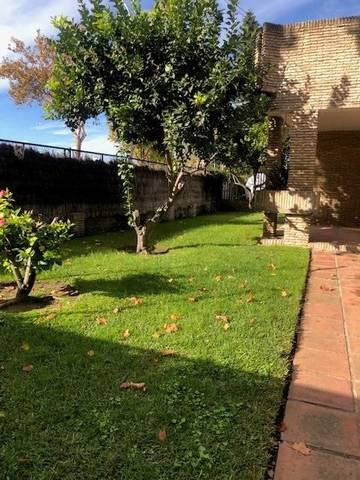 Local comercial en Alquiler en Crevillet