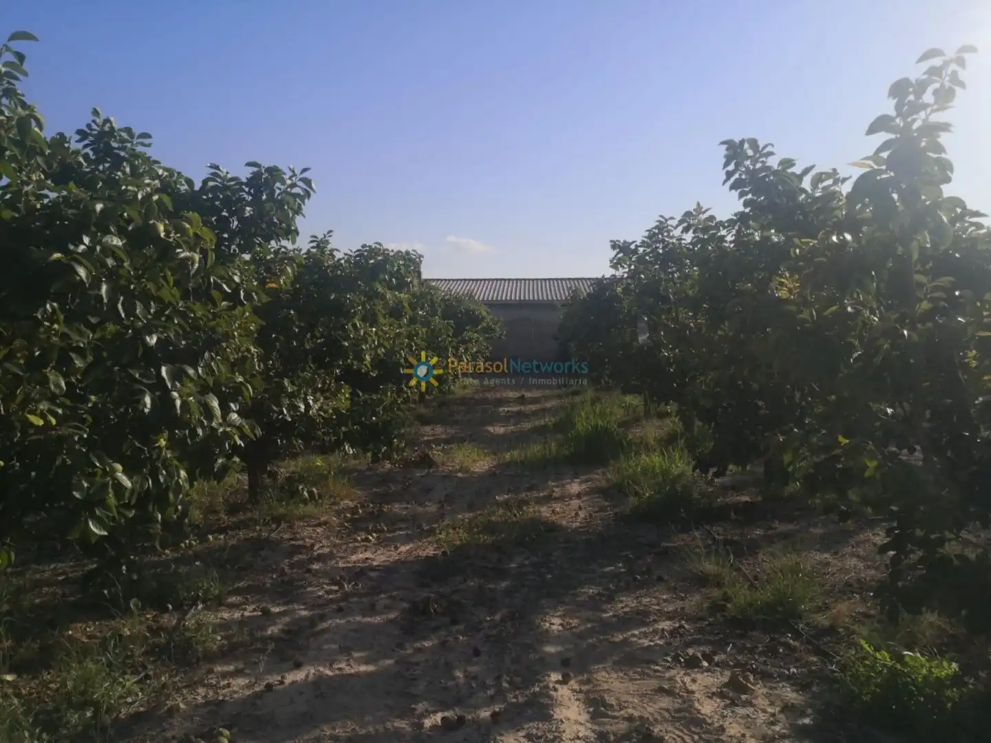 Finca rústica en venta en Albaida con Jardín privado y Trastero