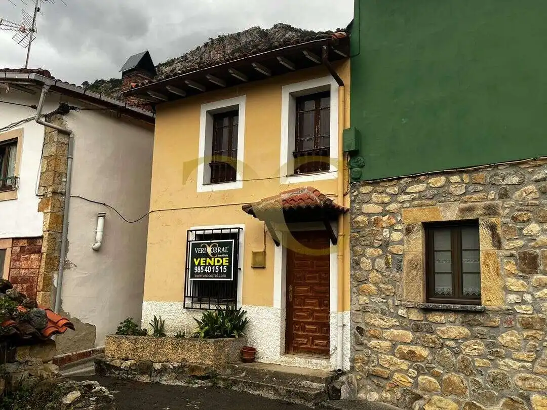 Vista exterior de Casa o chalet en venta en Cabrales