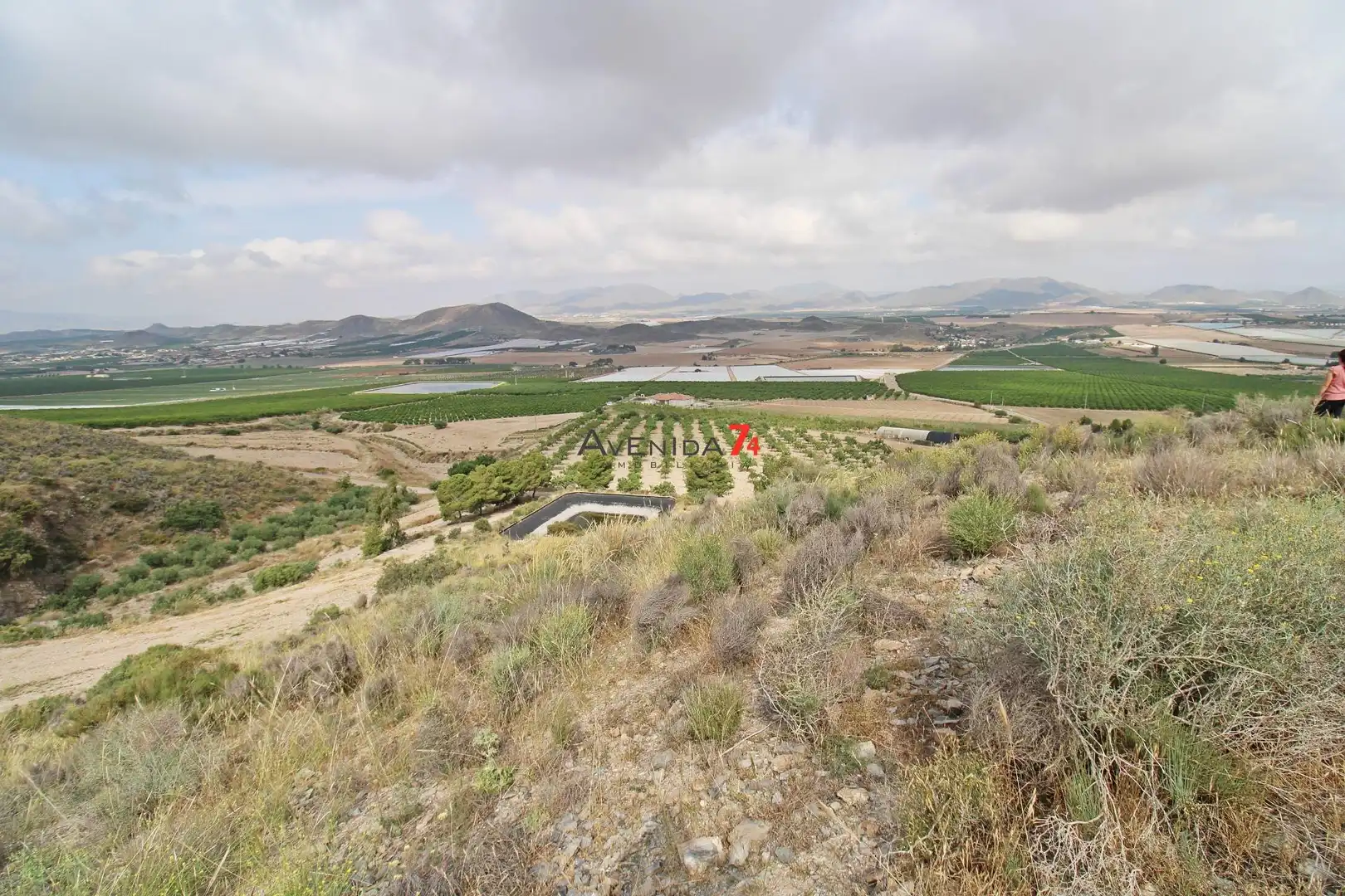 Terrains et parcelles à vendre à Pedanías Sur, imagen 4