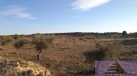 Photo 2 of Residential for sale in Paraje Valdedomingo Juan, Perlita, Madrid