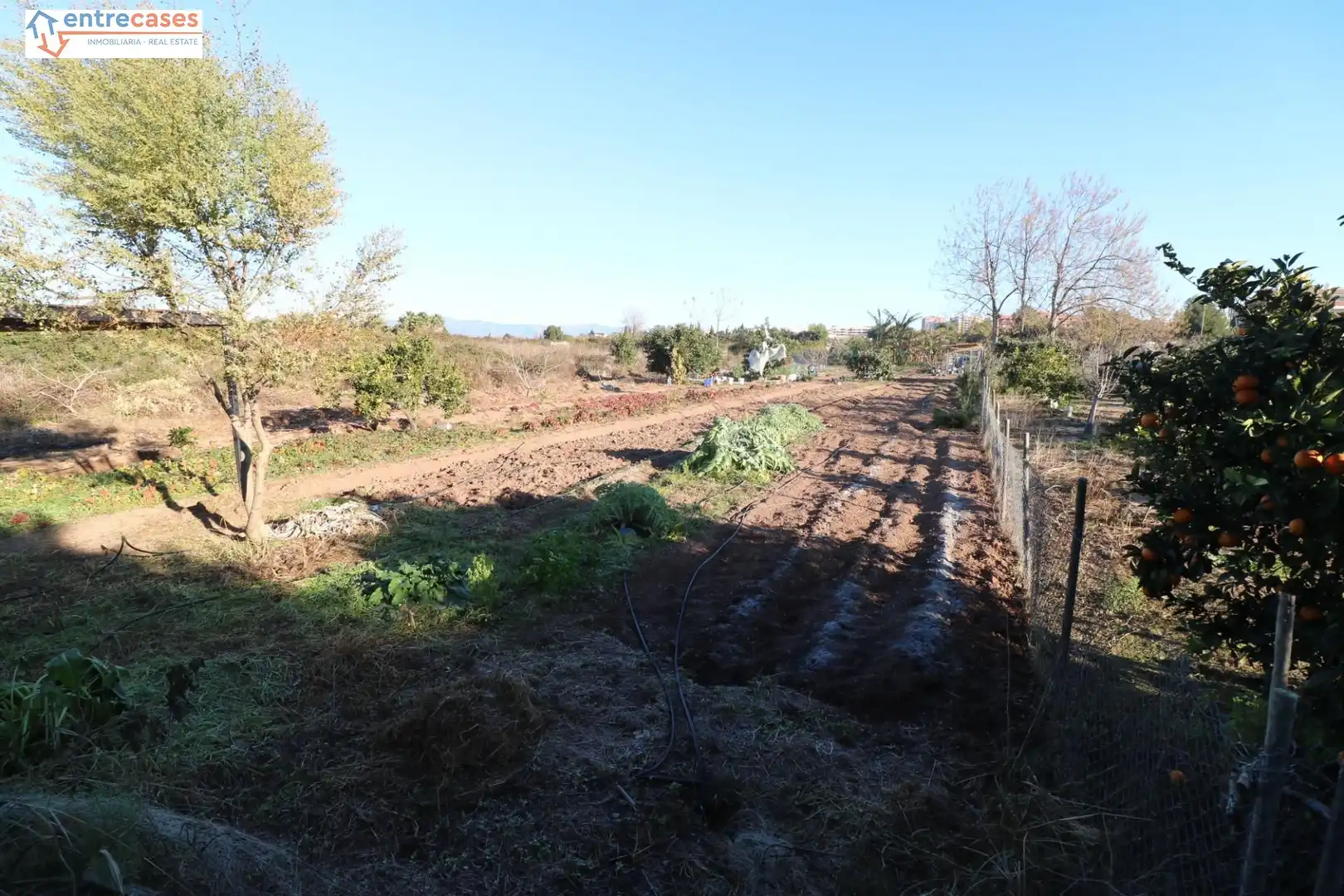 Rural land for sale in Canet d'En Berenguer, imagen 2