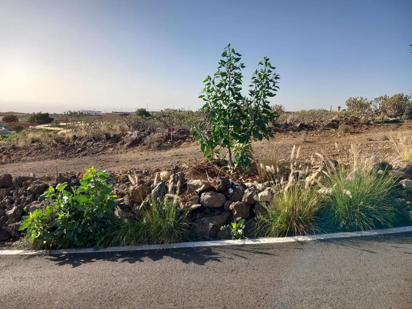 Residential for sale in Granadilla de Abona