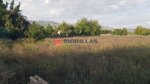 Foto 4 de Casa o chalet en venta en Camino Hornillos, Moratalla, Murcia