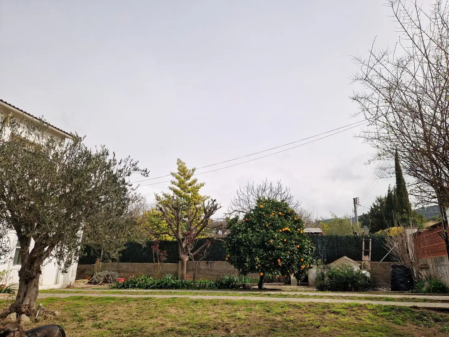 Casa o xalet en venda a Canyamars