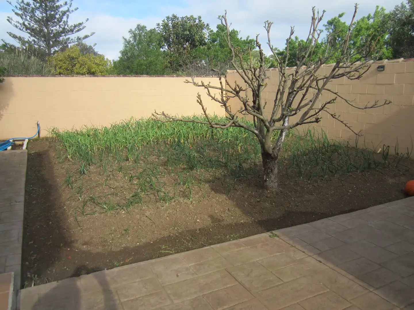 Casa o xalet en venda a Urbanización C.R.las Palomas, Las Lagunas - Campano
