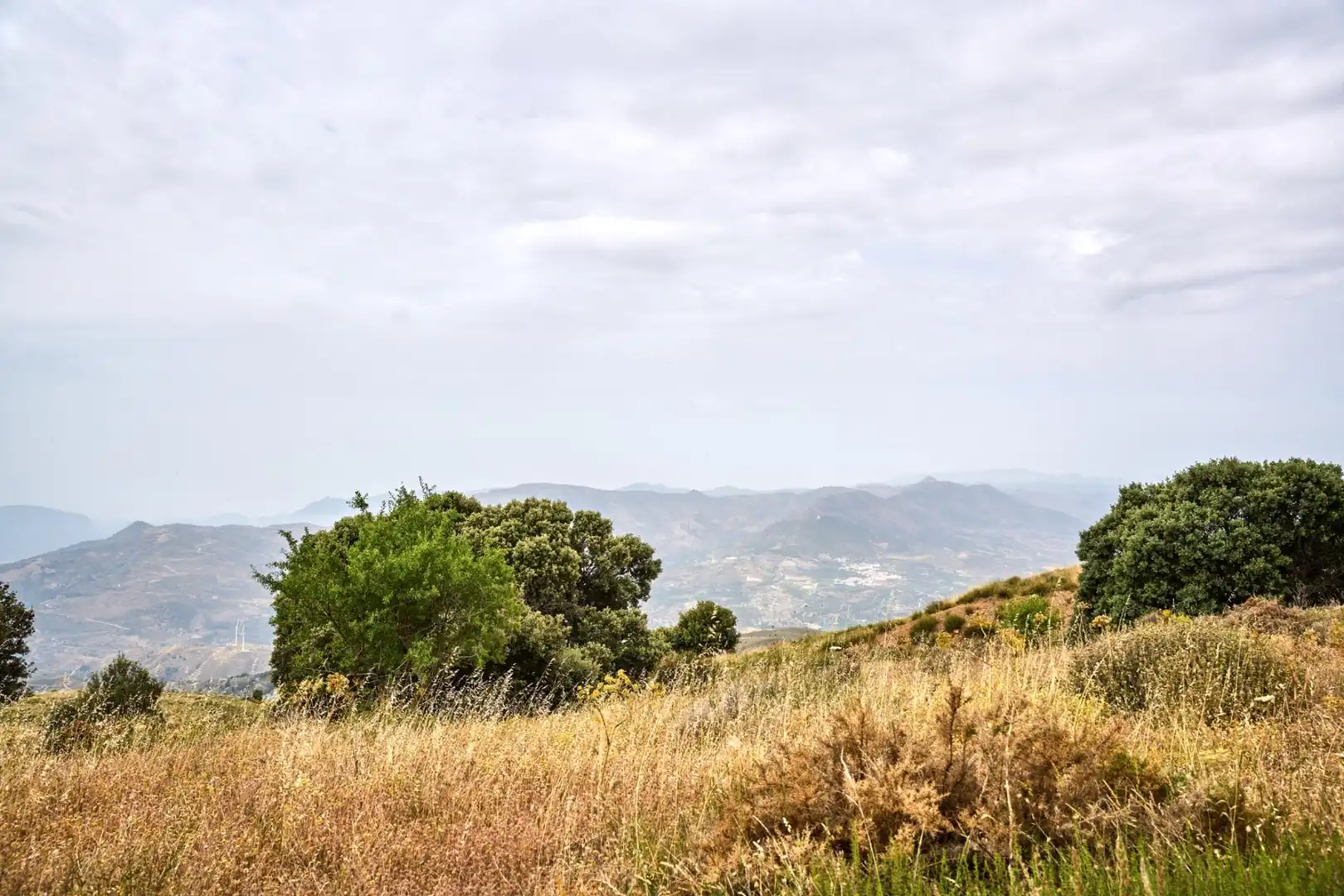 Casa o chalet en venta en Lanjarón con Jardín privado