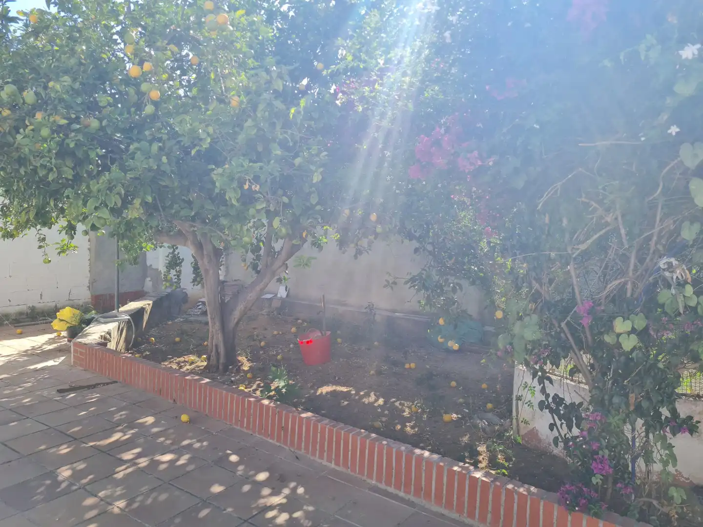 Xalet amb jardí de lloguer a Núcleo urbano, imagen 5