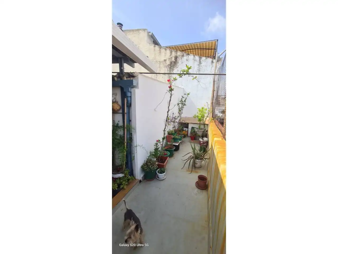 Casa o xalet en venda a Calle Vistabella, Ciutat del Transport - La Salera