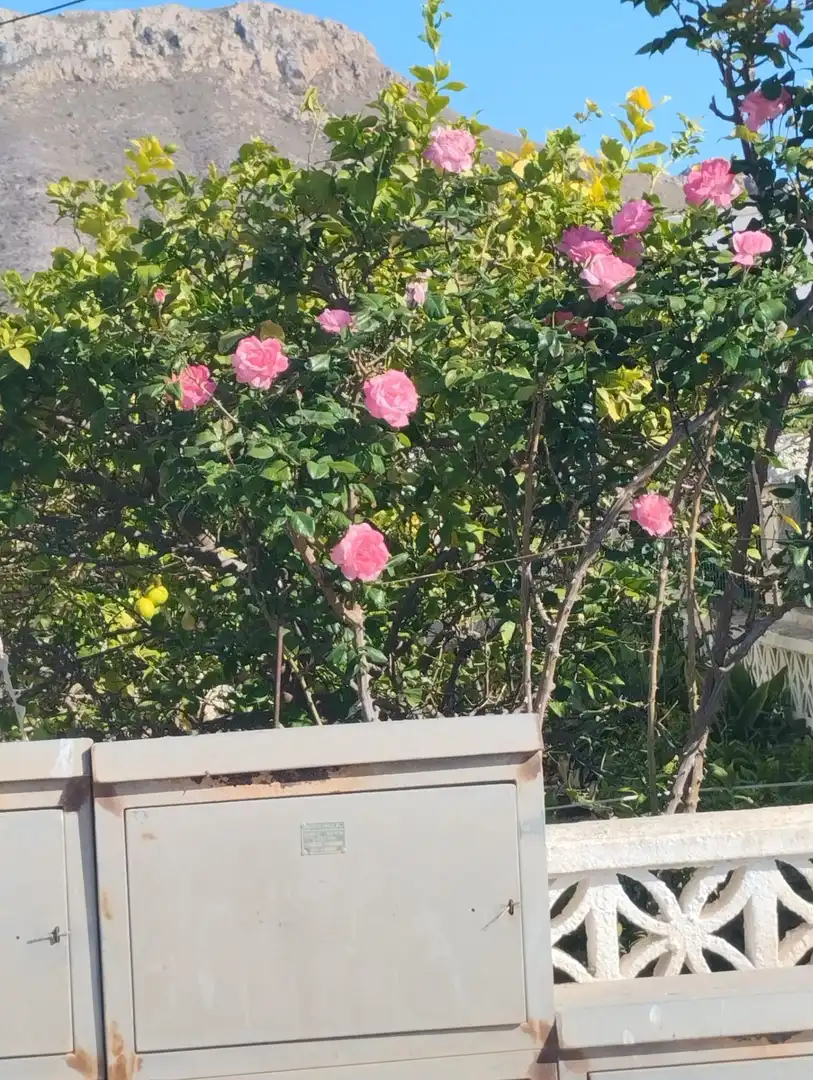 Garten von Wohnungen zum Verkauf in Águilas mit Klimaanlage, Heizung und Privatgarten