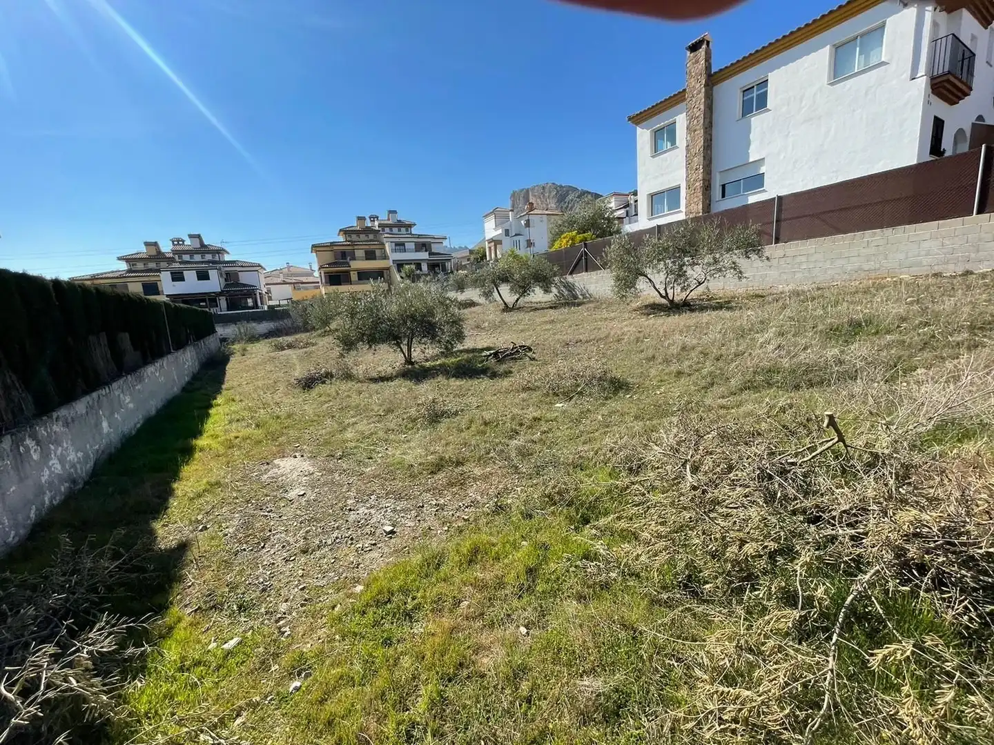 Terrenos y solares en venta en Centro de Albolote, imagen 3