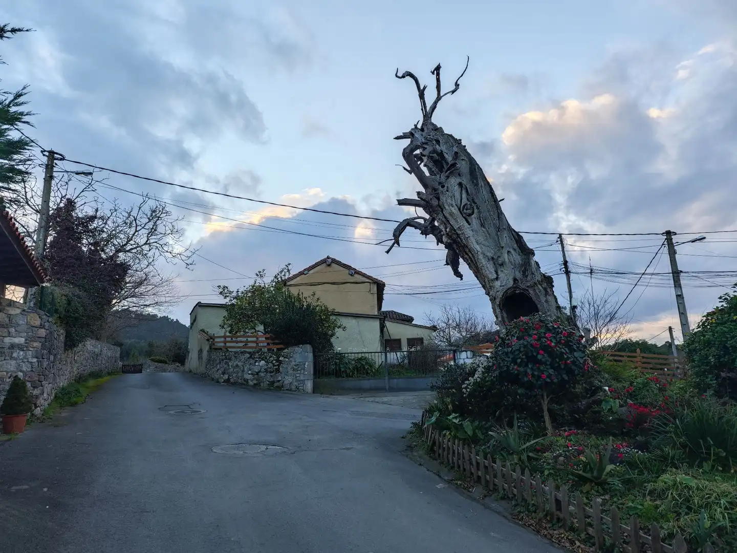 Exterior view of Residential for sale in Llanes