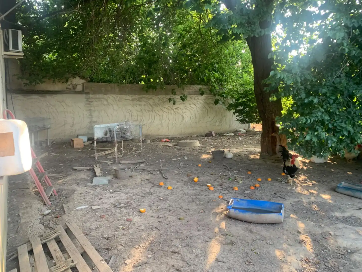 Finca rústica en venda a Alquerías