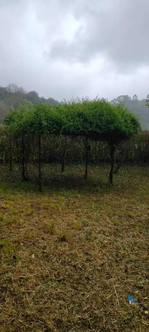 Terreni e lotti in vendita a Rasines, imagen 19