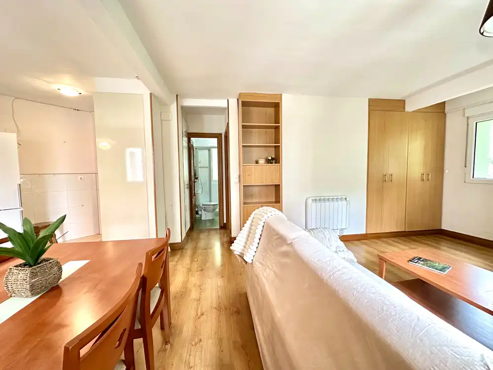 Sala d'estar de Pis en venda en Donostia - San Sebastián  amb Calefacció, Moblat i Balcó