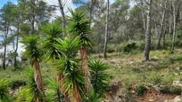 Residential for sale in Olivella
