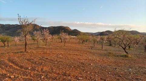 Photo 2 of Land for sale in Pulgara, Lorca