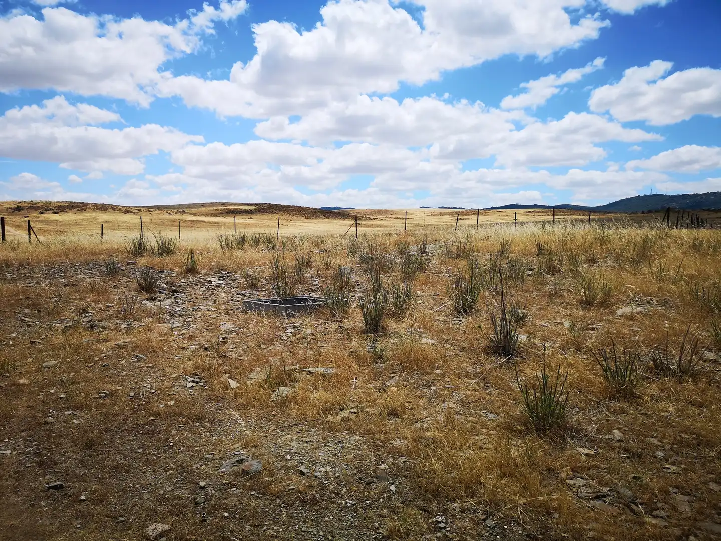 Wohnbaugrundstück zum Verkauf in PARAJE LA MORALEJA POLIGONO 13, PARCELA 105, imagen 6