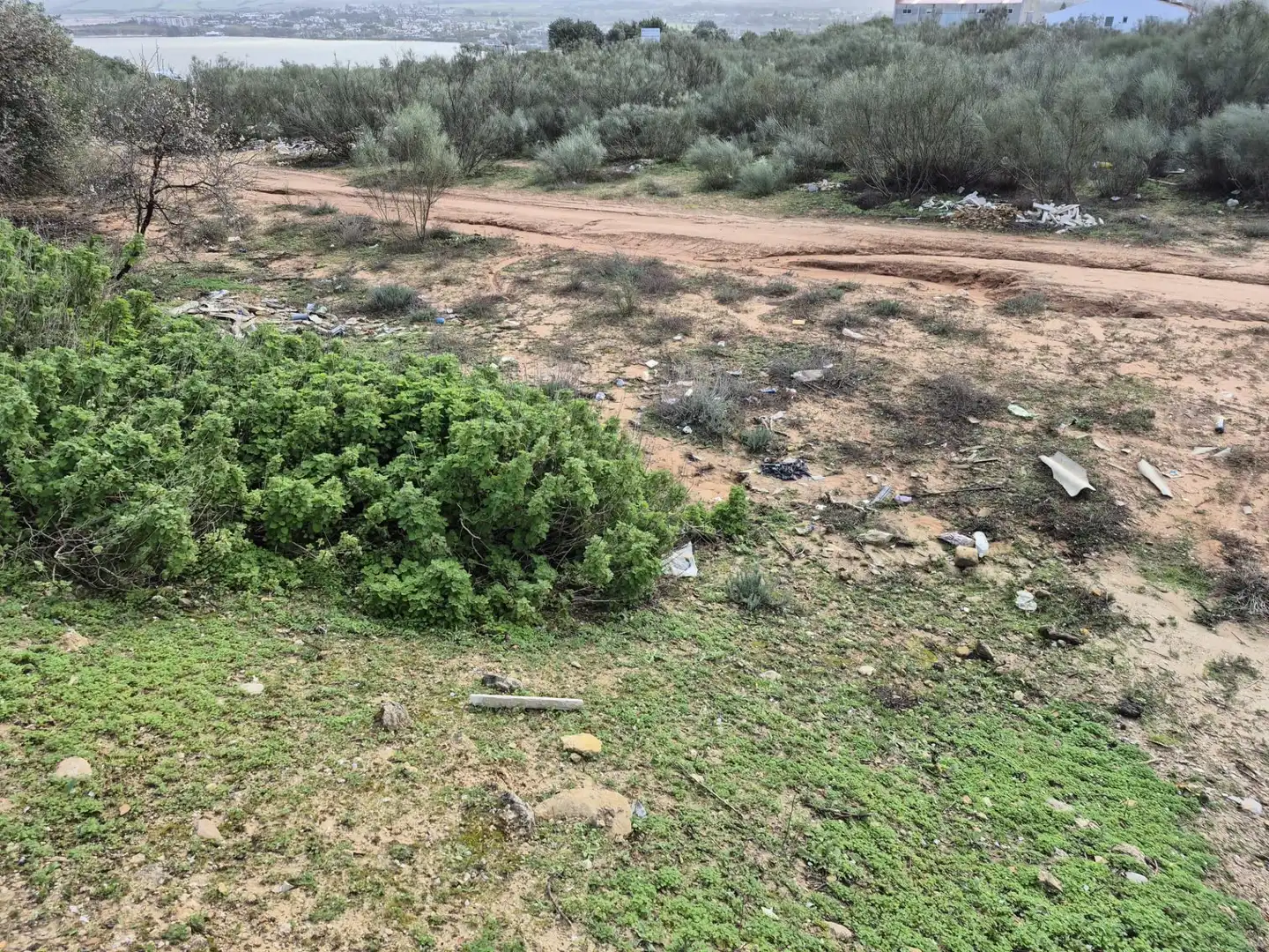 Terreny rústic en venda a Arcos de la Frontera, imagen 7