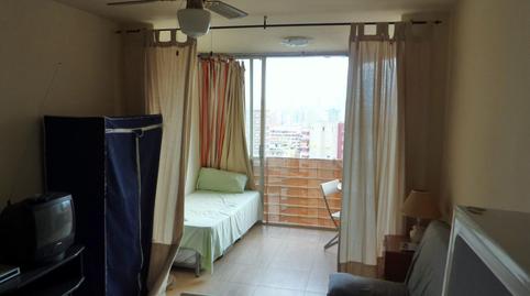 Foto 3 de Estudi en venda a Juzgados - Plaza de Toros, Alicante