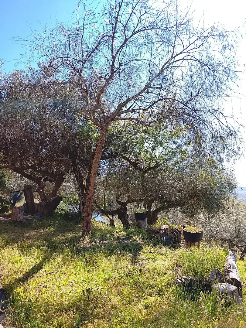 Terreni e lotti in vendita a Candeleda, imagen 61