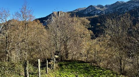 Foto 5 de Casa o xalet en venda a Miera - Miera, Miera, Cantabria