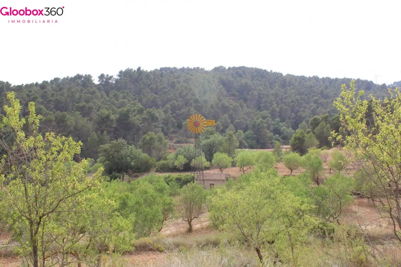 Country homes for sale in Blancafort  with Alarm