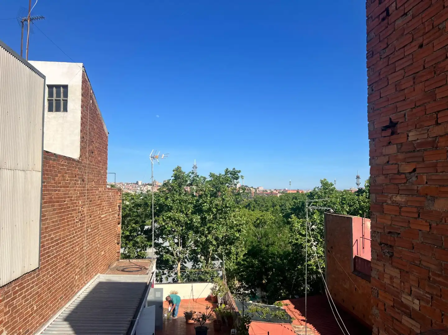 Buildings for sale in Ausona, Trinitat Vella