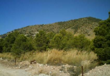 Terreno en Venta en PARAJE CULEBRINA Nº 1 en Culebrina