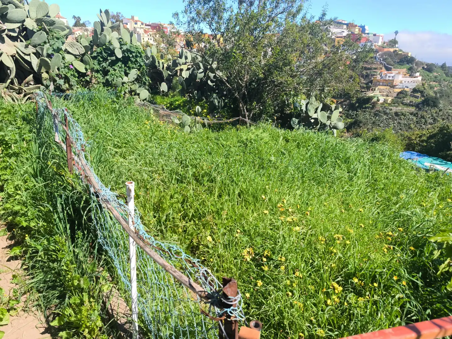 Terreny en venda en Santa Brígida